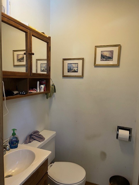 24314 South Burr Road Channahon, IL 60410 - Photo 17 of 17 a bathroom with a sink a toilet and mirror