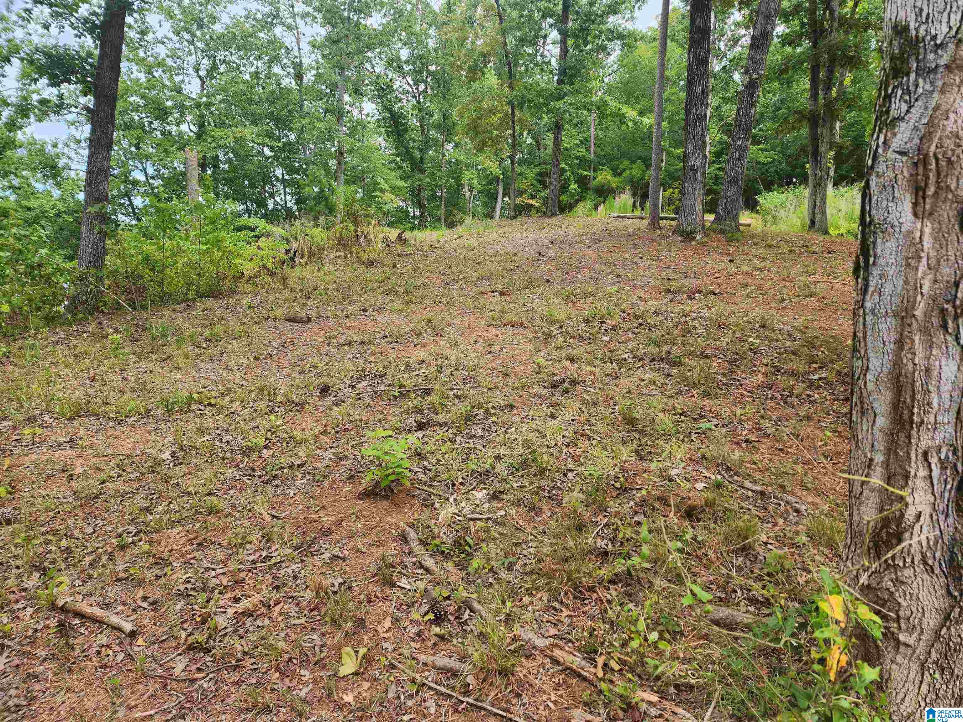 Lot 8 Eagle Mountain Road, Unit 8 Alexander City, AL 35010 - Photo 16 of 27