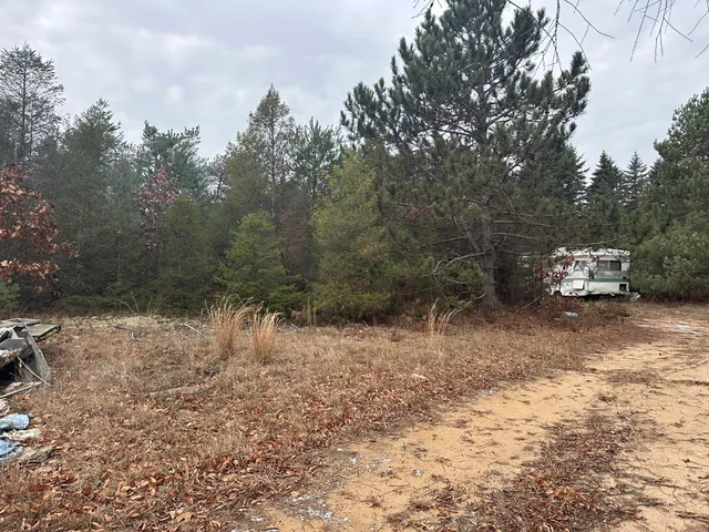 $10,000 | 8119 North Sweet Chevy Lane, Bitely, MI 49309