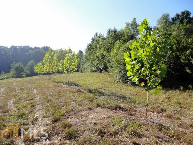 675 Sanford Nicholson Road Nicholson, GA 30565 - Photo 1 of 1