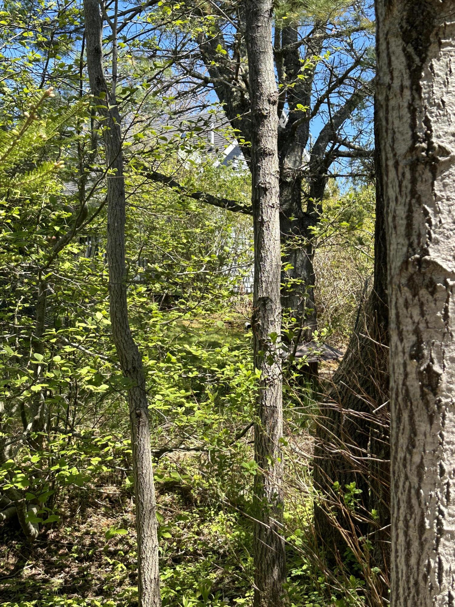 18 Mill Pond Road Gouldsboro, ME 04624 - Photo 34 of 76 IMG_7096