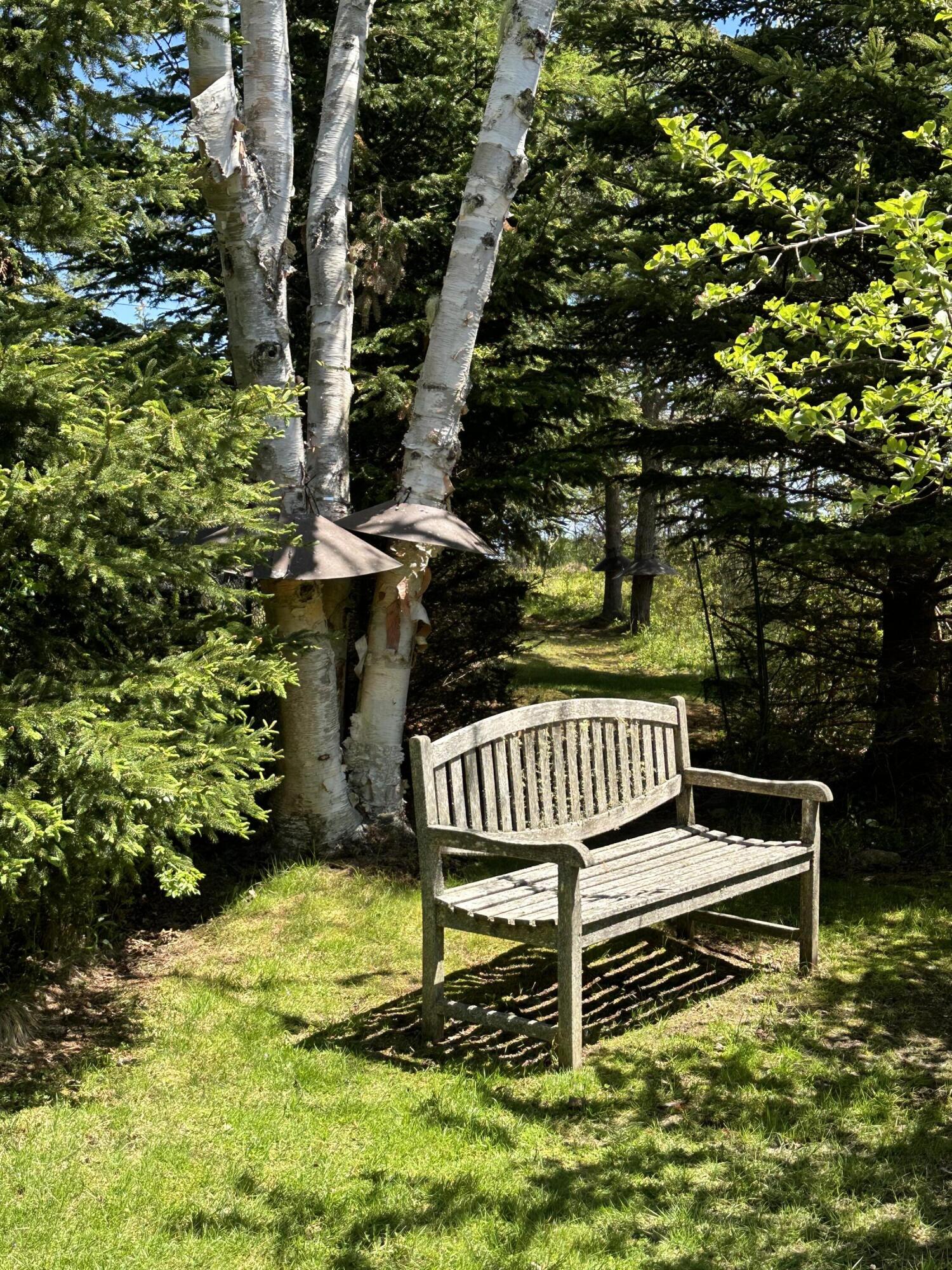 18 Mill Pond Road Gouldsboro, ME 04624 - Photo 35 of 76 IMG_7097