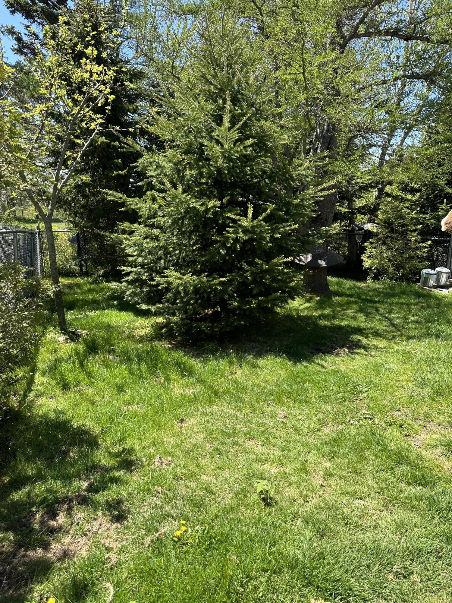 18 Mill Pond Road Gouldsboro, ME 04624 - Photo 41 of 76 IMG_7065