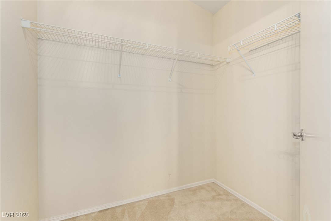 2148 Point Mallard Drive Henderson, NV 89012 - Photo 19 of 31 Walk in closet featuring light carpet
