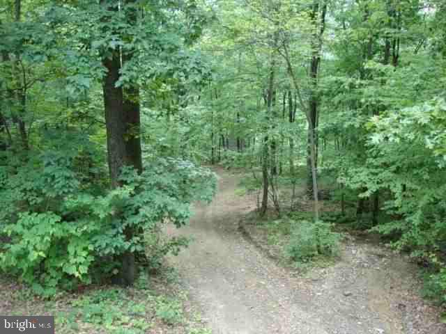 0 Dever Hollow Road Millerstown, PA 17062 - Photo 5 of 12 Gallery Image 5