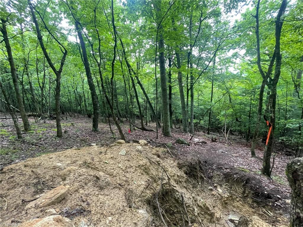 Lot 61 Grandview Circle Traphill, NC 28685 - Photo 11 of 19