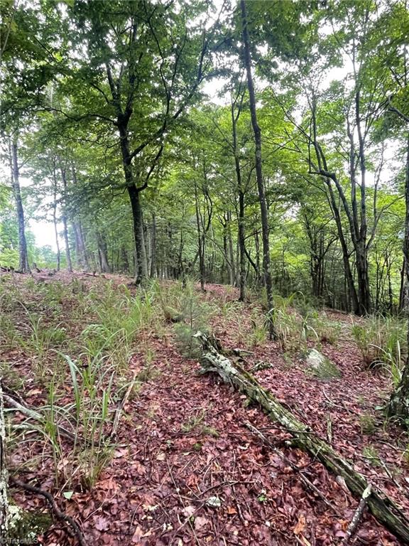 Lot 61 Grandview Circle Traphill, NC 28685 - Photo 12 of 19