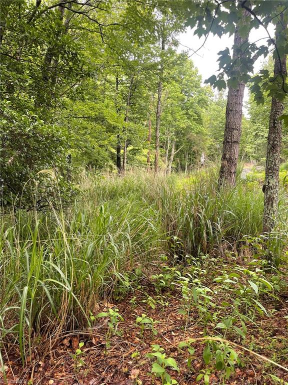 Lot 61 Grandview Circle Traphill, NC 28685 - Photo 13 of 19