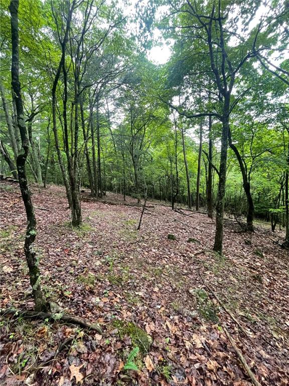 Lot 61 Grandview Circle Traphill, NC 28685 - Photo 14 of 19