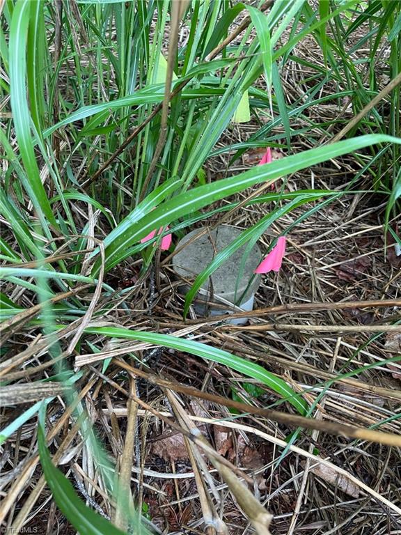 Lot 61 Grandview Circle Traphill, NC 28685 - Photo 15 of 19