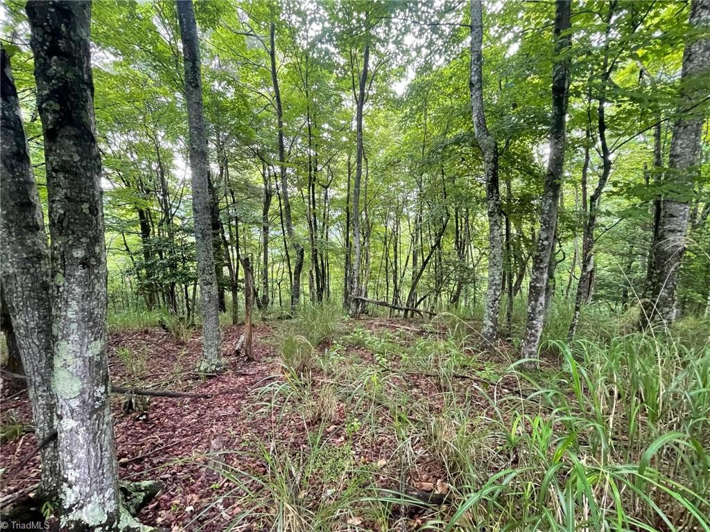 Lot 61 Grandview Circle Traphill, NC 28685 - Photo 16 of 19