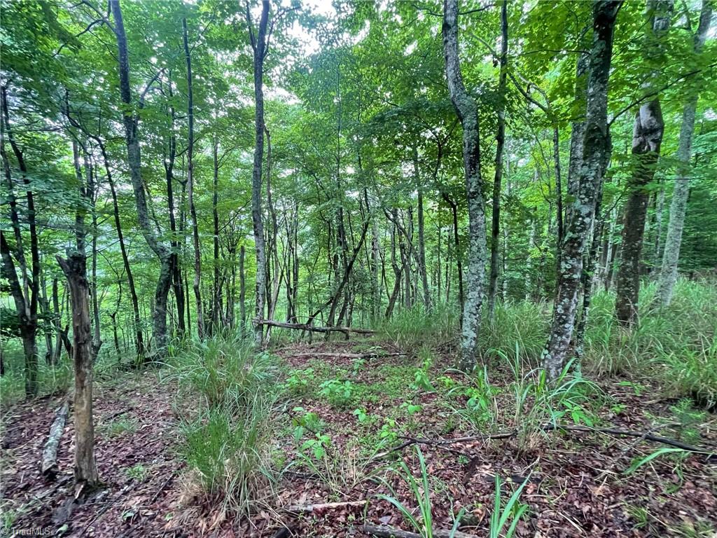 Lot 61 Grandview Circle Traphill, NC 28685 - Photo 17 of 19