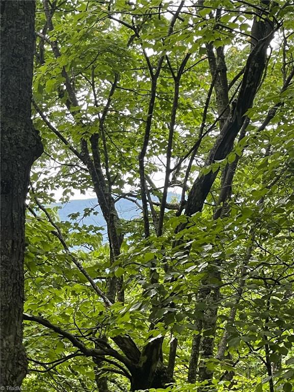 Lot 61 Grandview Circle Traphill, NC 28685 - Photo 2 of 19