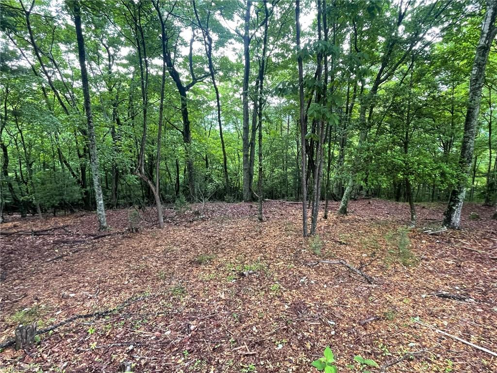 Lot 61 Grandview Circle Traphill, NC 28685 - Photo 3 of 19