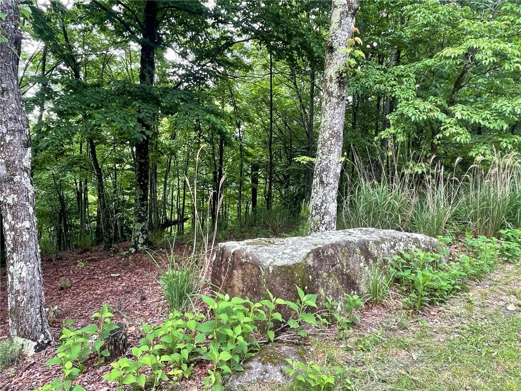 Lot 61 Grandview Circle Traphill, NC 28685 - Photo 4 of 19