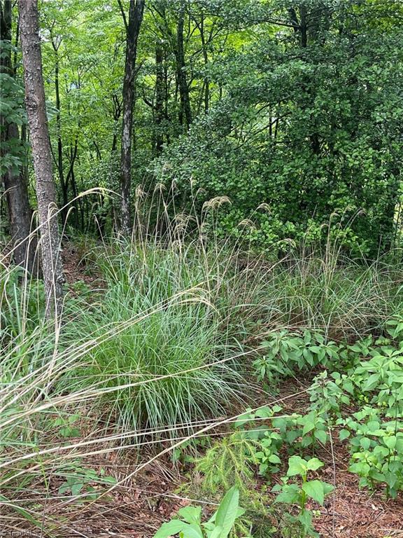 Lot 61 Grandview Circle Traphill, NC 28685 - Photo 5 of 19