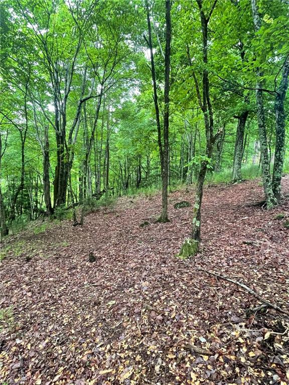 Lot 61 Grandview Circle Traphill, NC 28685 - Photo 6 of 19