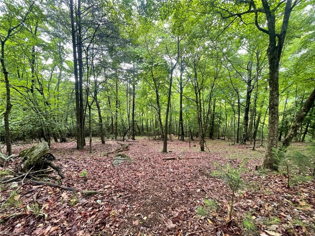 Lot 61 Grandview Circle Traphill, NC 28685 - Photo 7 of 19