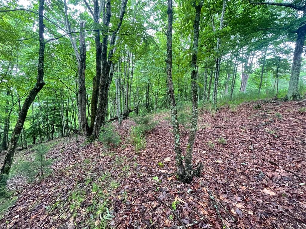 Lot 61 Grandview Circle Traphill, NC 28685 - Photo 8 of 19