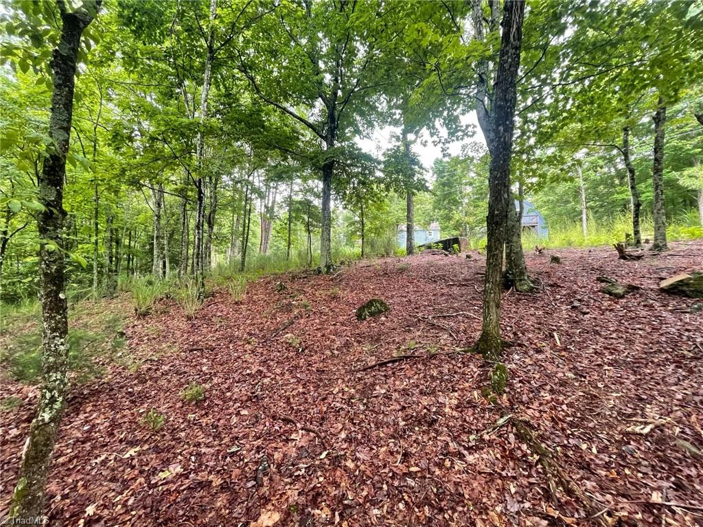 Lot 61 Grandview Circle Traphill, NC 28685 - Photo 9 of 19