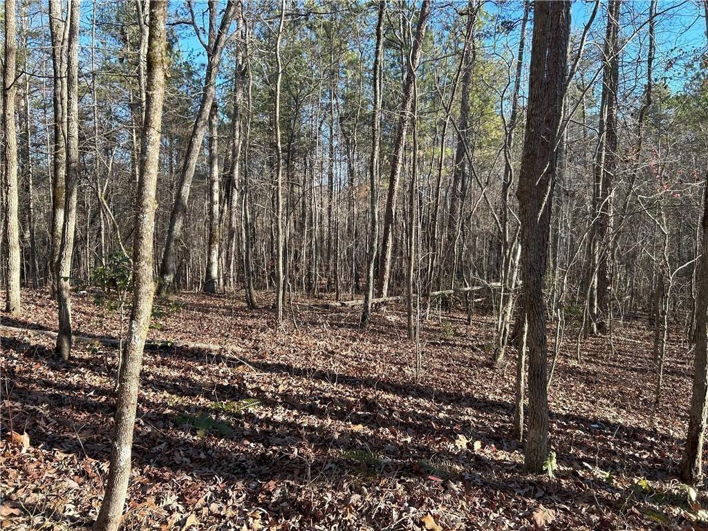0 Pittman Road Dawsonville, GA 30534 - Photo 1 of 1 Gallery Image 1