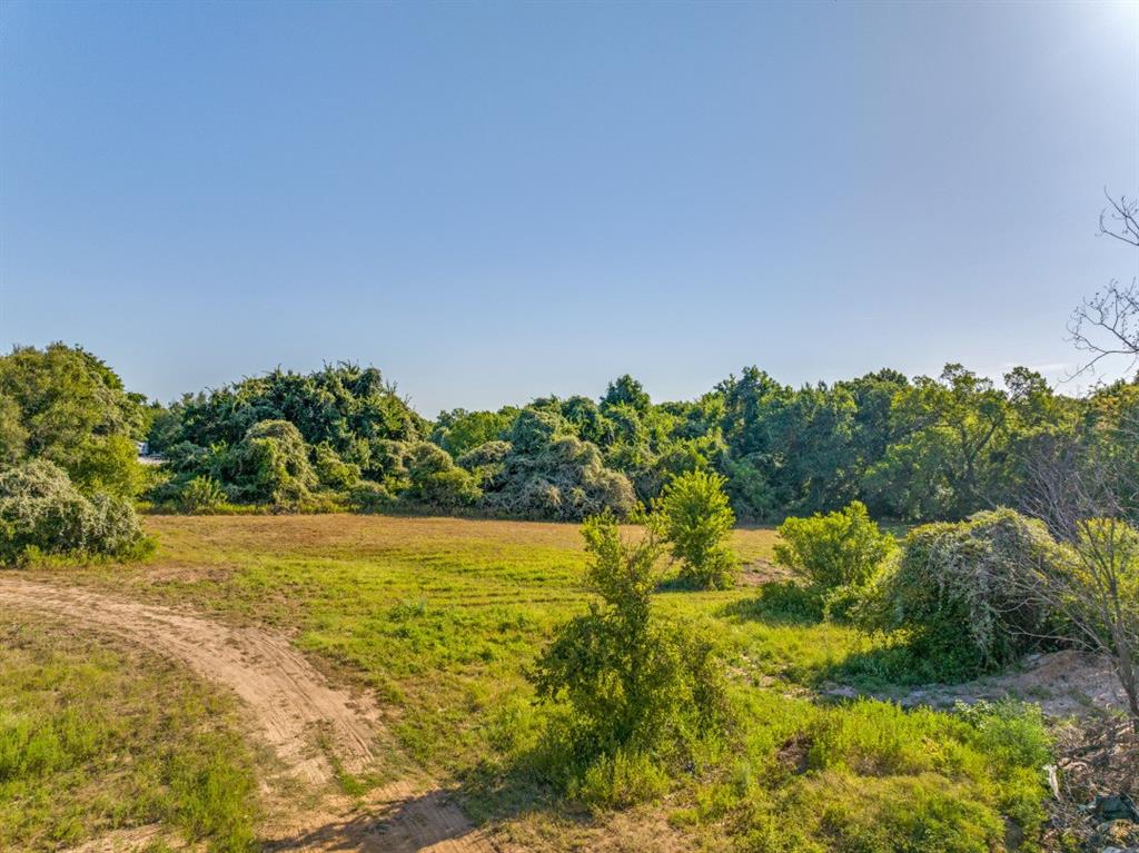 3737 East Highway 199 Springtown, TX 76082 - Photo 6 of 14 View of local wilderness