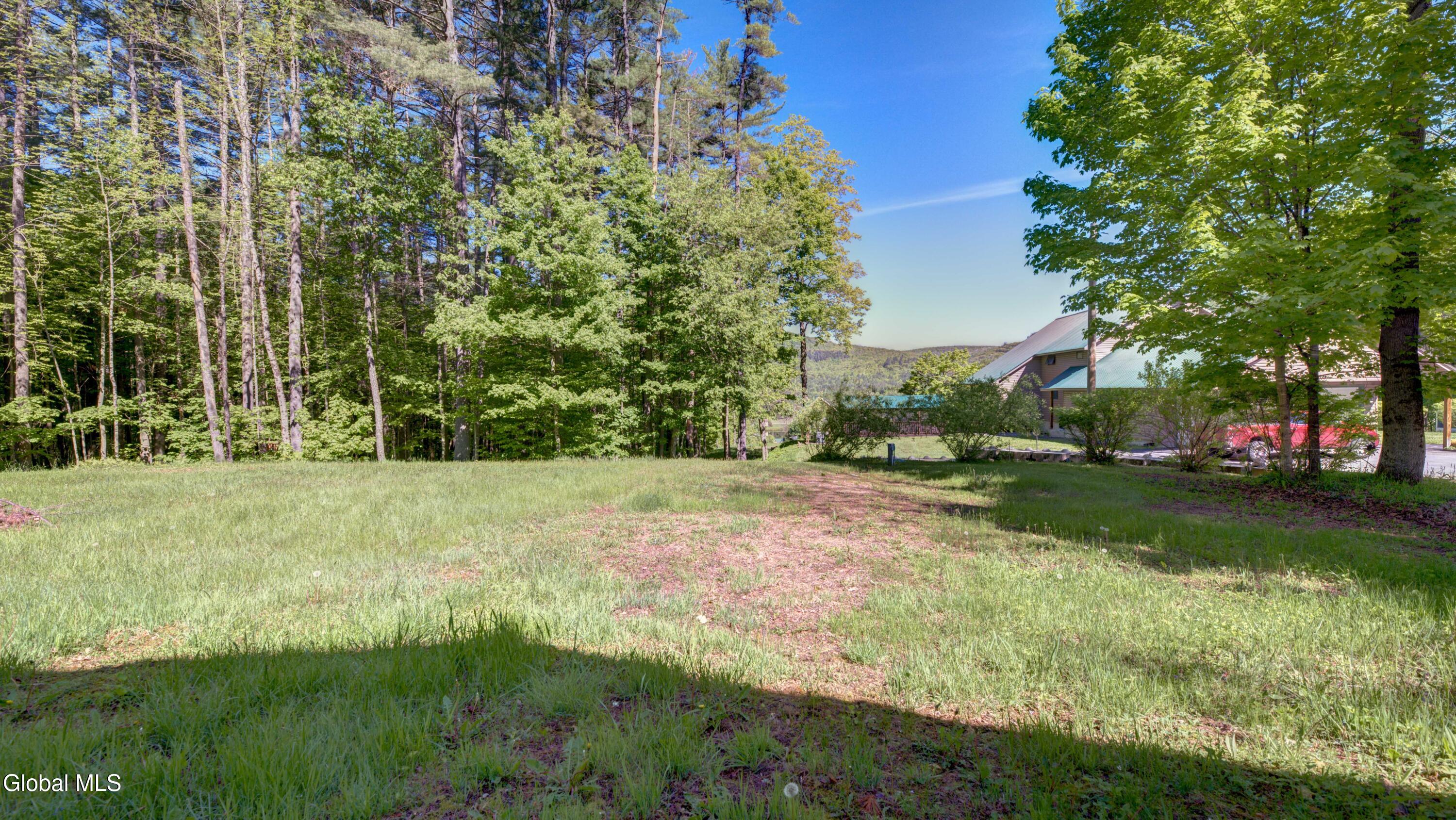 135 Buttermilk Hill Road Wells, NY 12190 - Photo 15 of 62 135 Buttermilk Hill-12