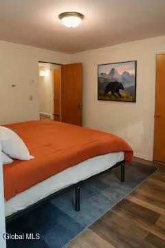 135 Buttermilk Hill Road Wells, NY 12190 - Photo 56 of 62 unnamed