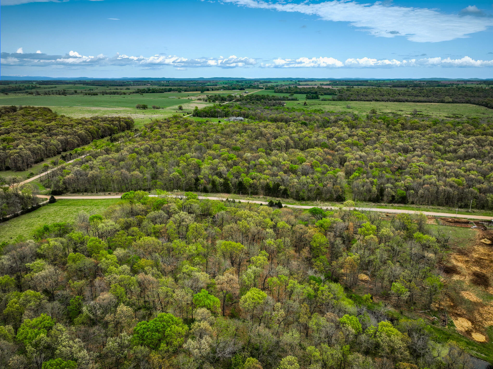 Lot 2 South 725 Road Stockton, MO 65785 - Photo 3 of 46 Stockton_725_Rd-11