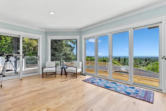a living room with furniture a fireplace and a potted plant