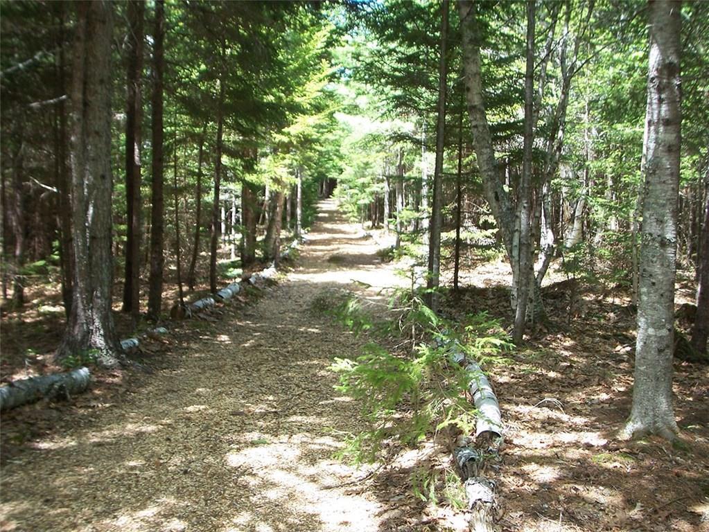 907 Newbury Neck Road Surry, ME 04684 - Photo 14 of 23 Photo