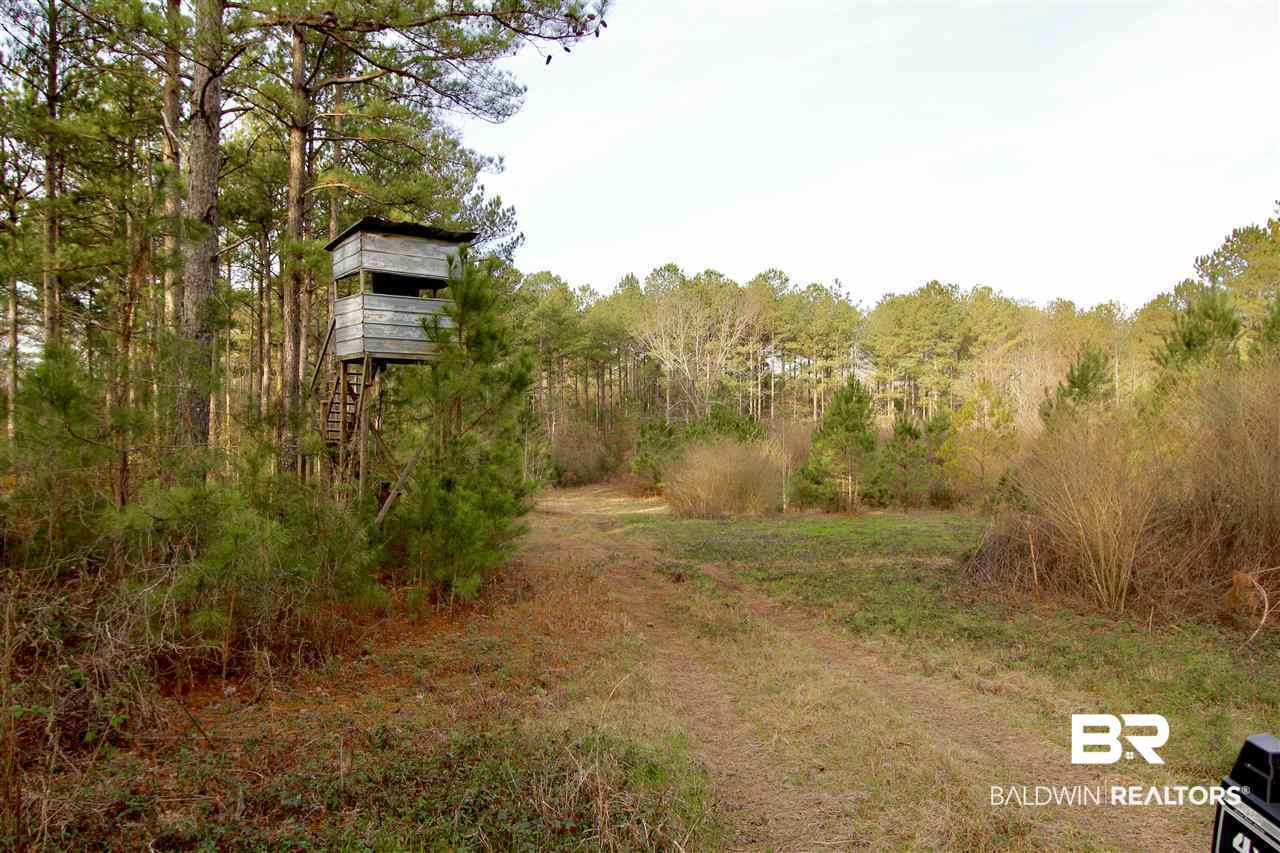 0 Sexton Brg Road Luverne, AL 36049 - Photo 2 of 50