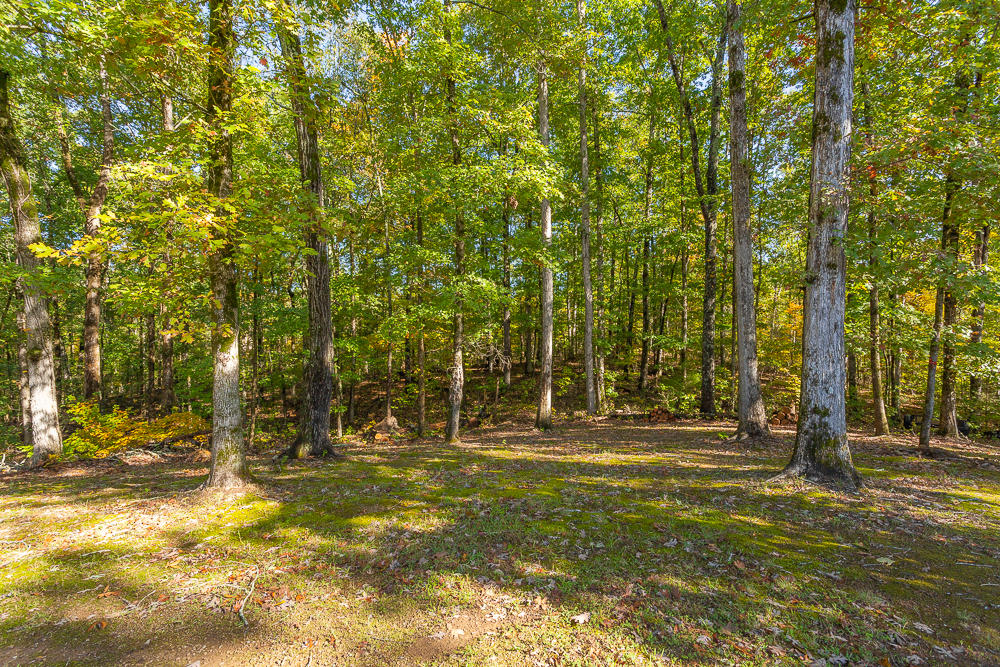 582 Mowery Circle Charleston, TN 37310 - Photo 18 of 92 582 NW Mowery Cir HD -26