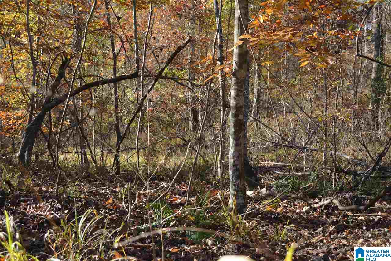 8333 Chelsea Road, Unit 2 Columbiana, AL 35051 - Photo 7 of 13