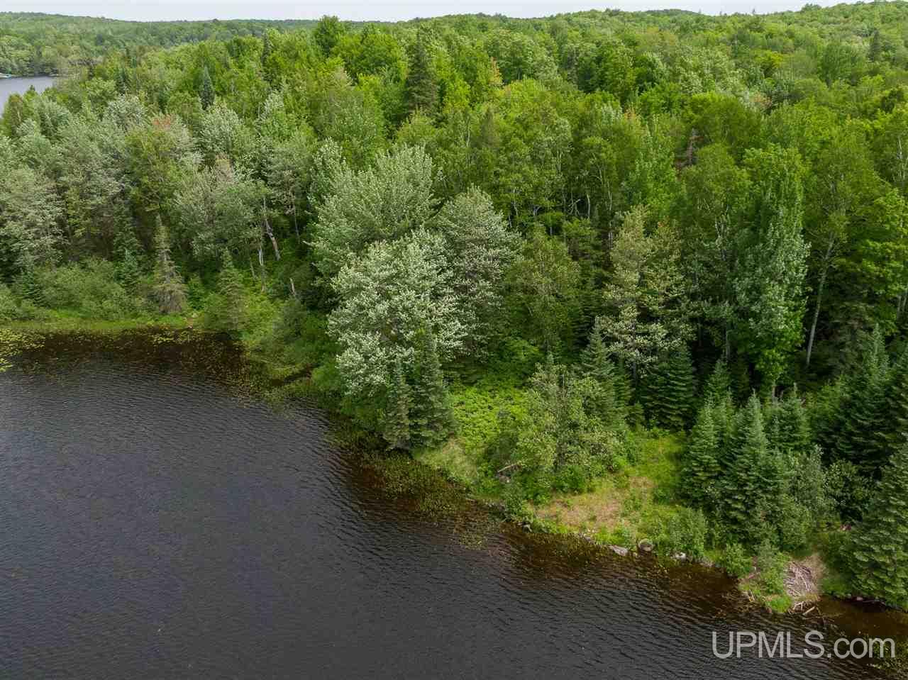 Lot 27 Red Maple Landing Marenisco, MI 49947 - Photo 3 of 9