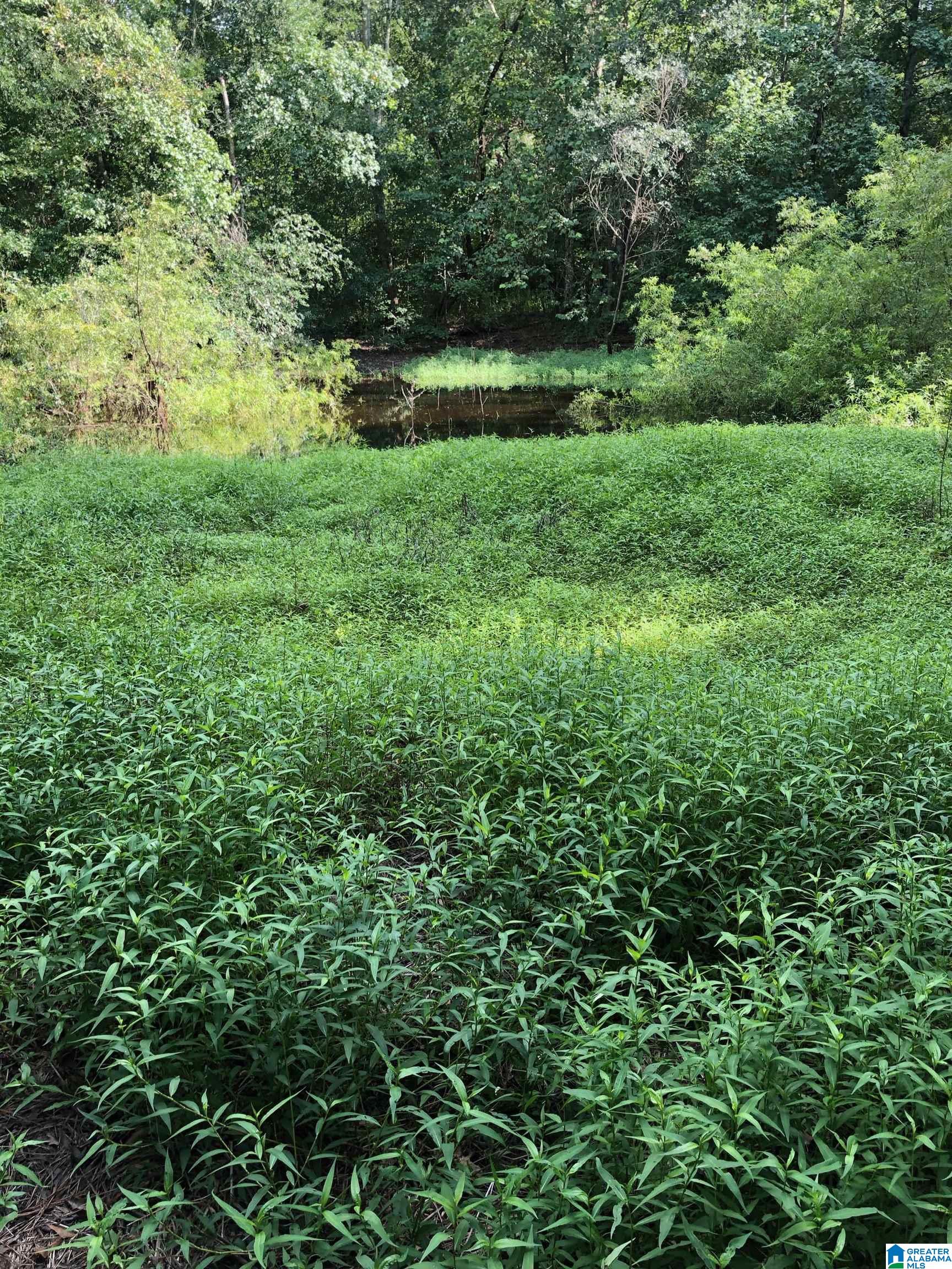 3939 Susan Moore Road Altoona, AL 35952 - Photo 12 of 12