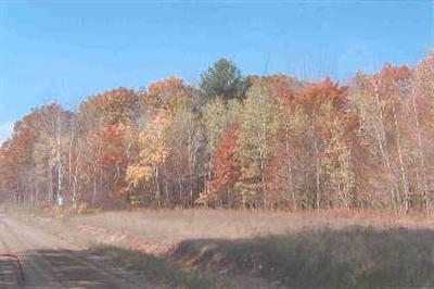 Bailey Road, Unit PAR A Ravenna, MI 49451 - Photo 1 of 1 Primary Photo