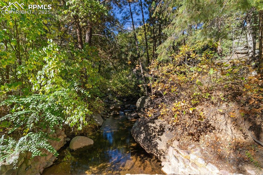 1144 Rock Creek Canyon Road, Unit A Colorado Springs, CO 80926 - Photo 7 of 50 a view of a forest