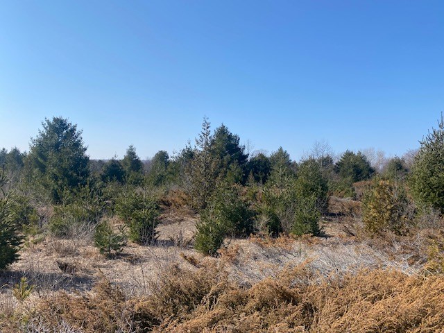 Lot 1 County Road Baileys Harbor, WI 54202 - Photo 9 of 9