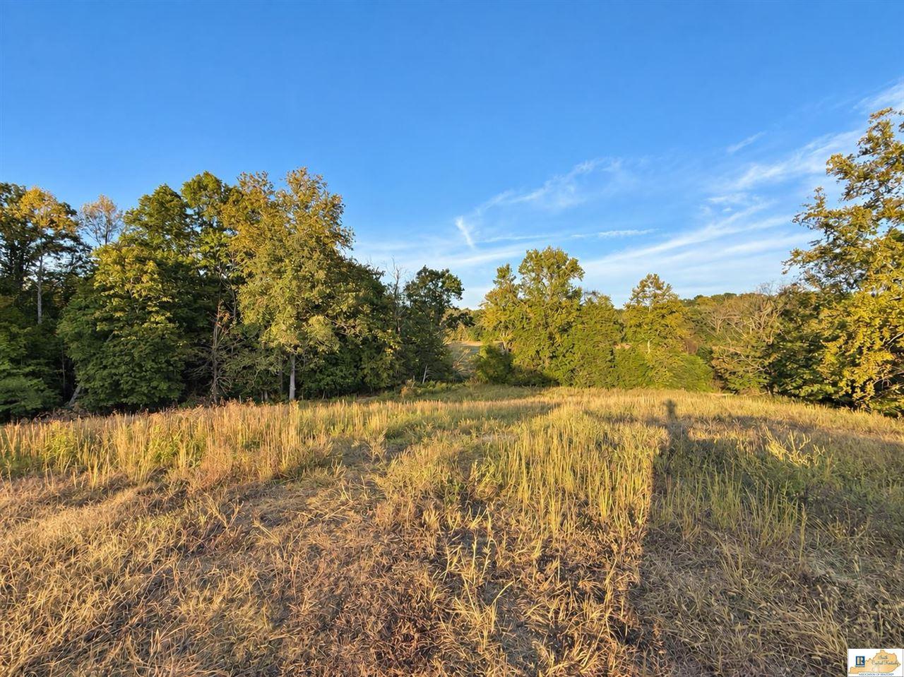 0 Stanley Syra Road Edmonton, KY 42129 - Photo 14 of 28 Gallery Image 14