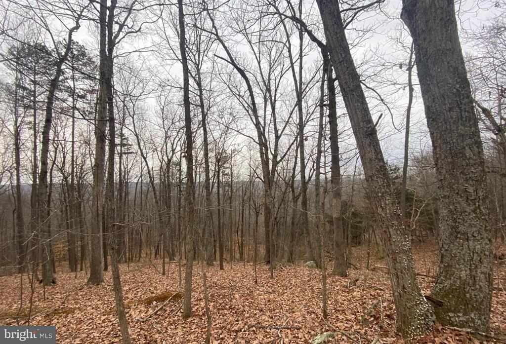 0 Turkey Ridge Road Castleton, VA 22716 - Photo 1 of 13 Gallery Image 1