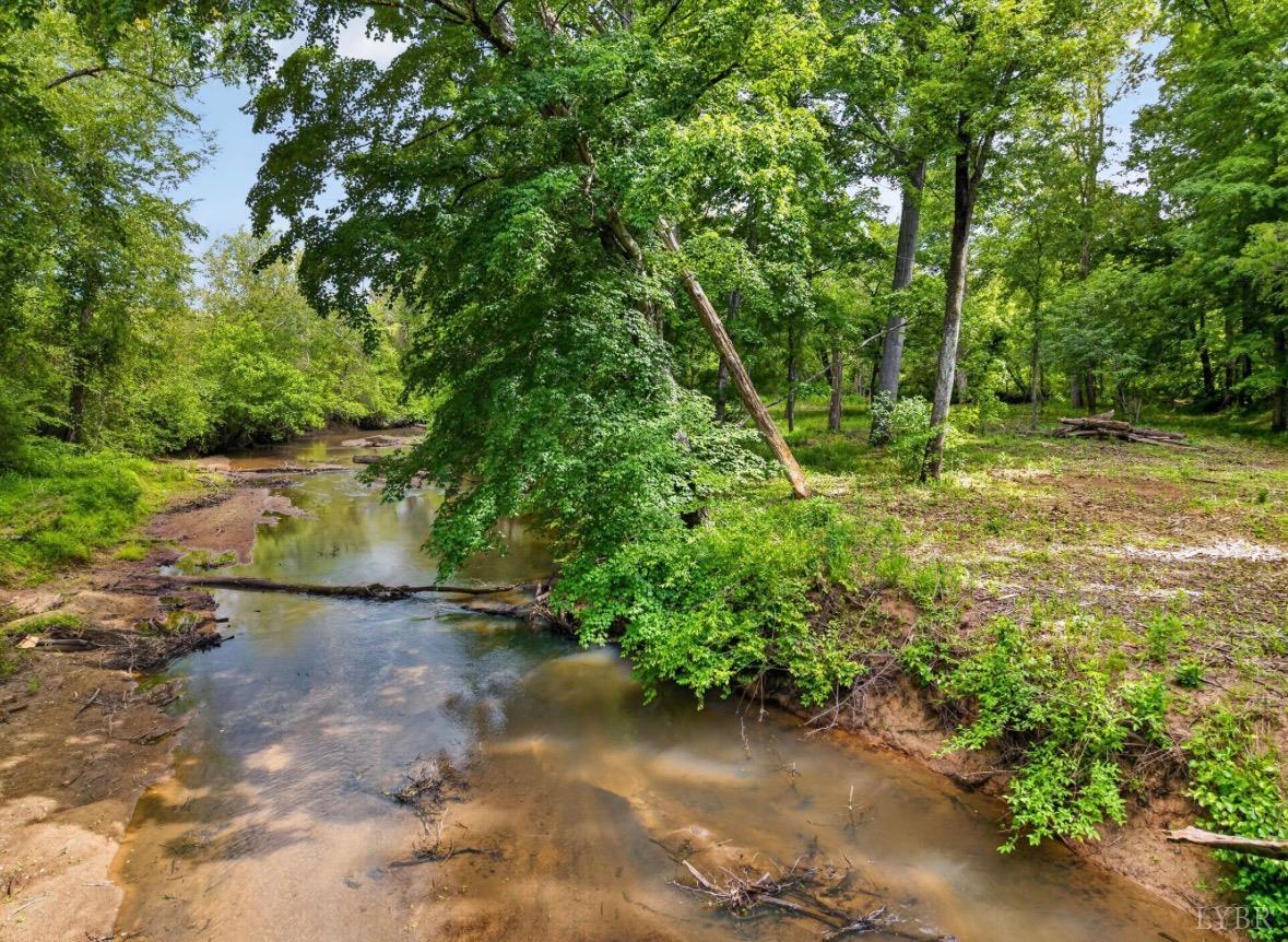 275 Fox Hill Road Rice, VA 23966 - Photo 2 of 58