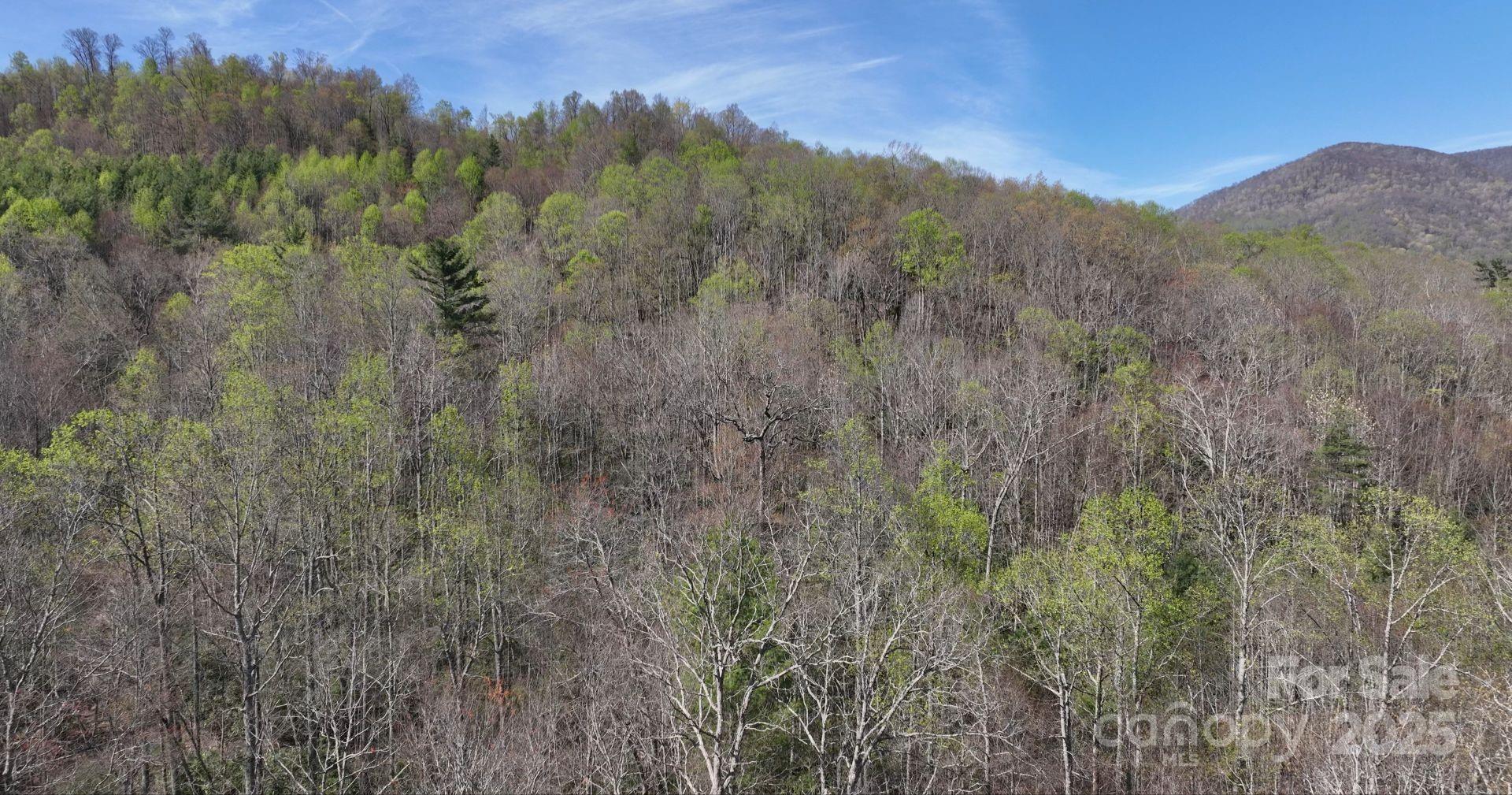 0 Gusher Knob Road Newland, NC 28657 - Photo 1 of 10 Gallery Image 1