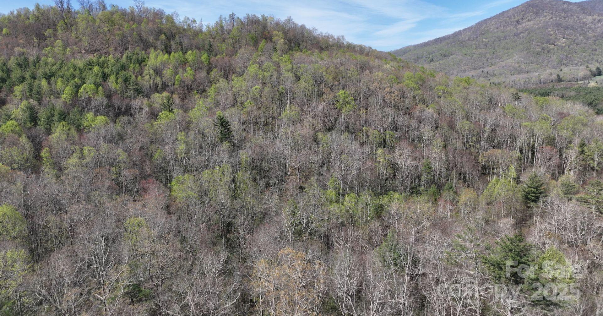 0 Gusher Knob Road Newland, NC 28657 - Photo 2 of 10 Gallery Image 2