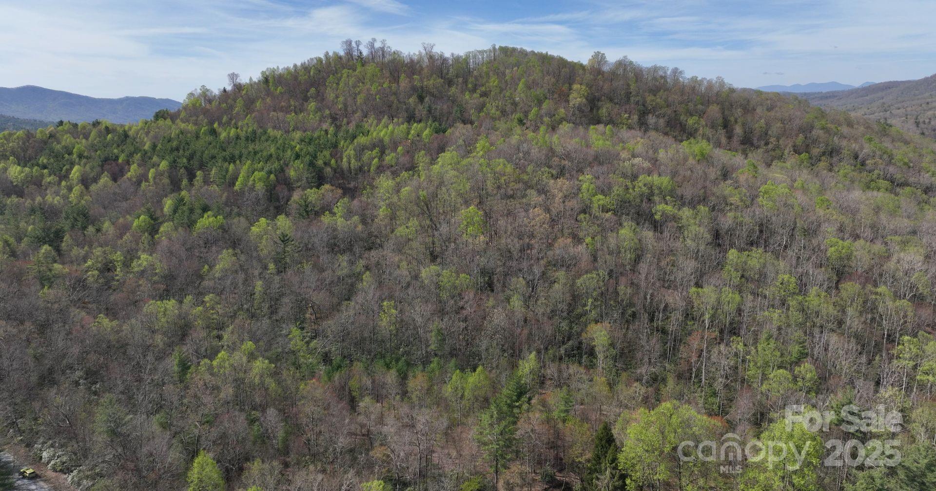 0 Gusher Knob Road Newland, NC 28657 - Photo 3 of 10 Gallery Image 3