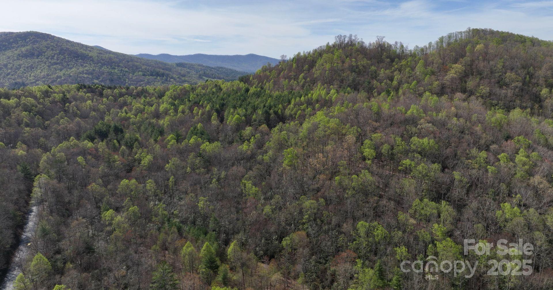 0 Gusher Knob Road Newland, NC 28657 - Photo 4 of 10 Gallery Image 4