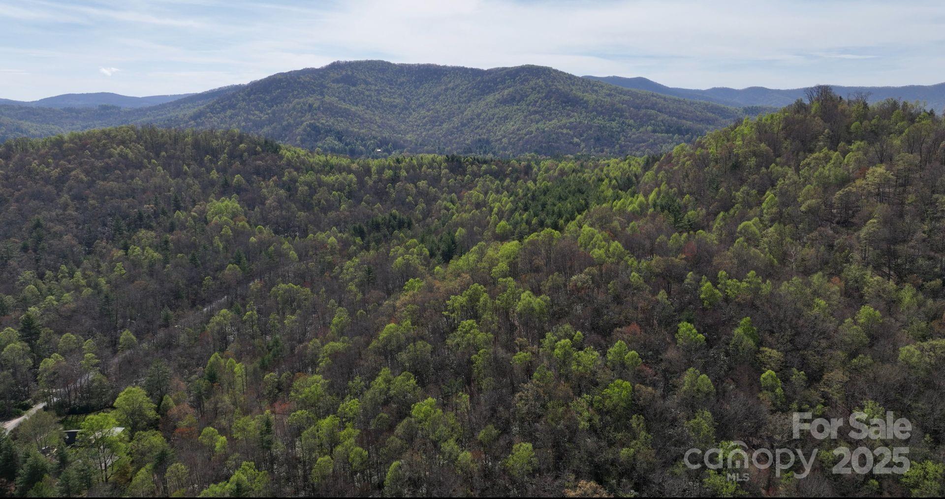 0 Gusher Knob Road Newland, NC 28657 - Photo 5 of 10 Gallery Image 5