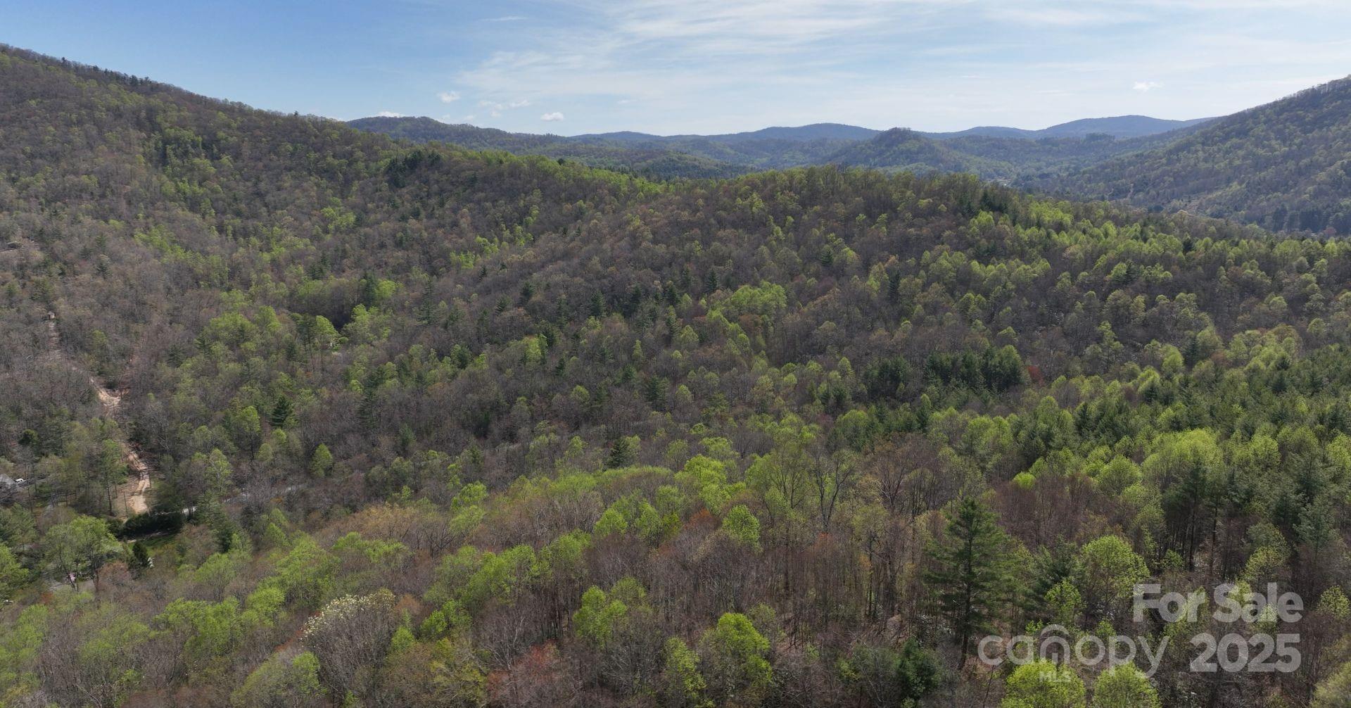 0 Gusher Knob Road Newland, NC 28657 - Photo 6 of 10 Gallery Image 6