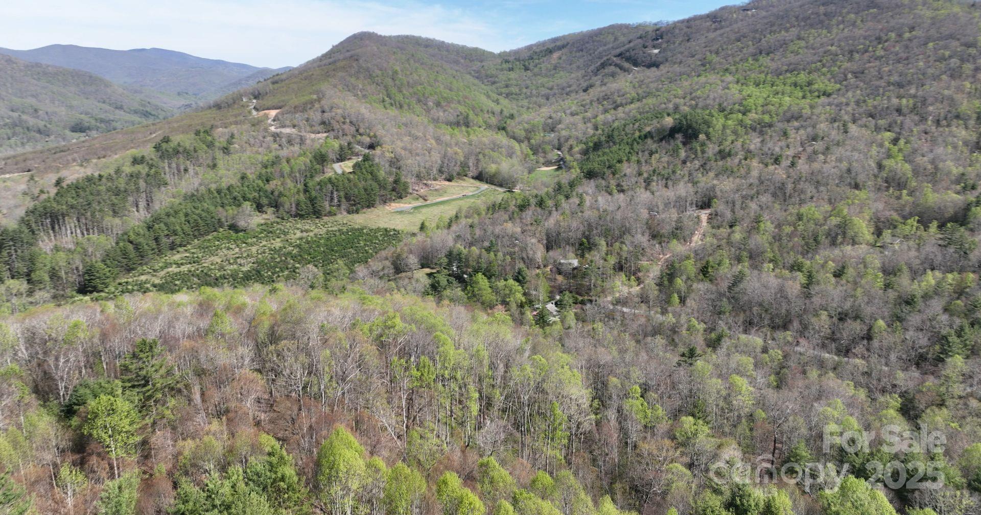 0 Gusher Knob Road Newland, NC 28657 - Photo 7 of 10 Gallery Image 7
