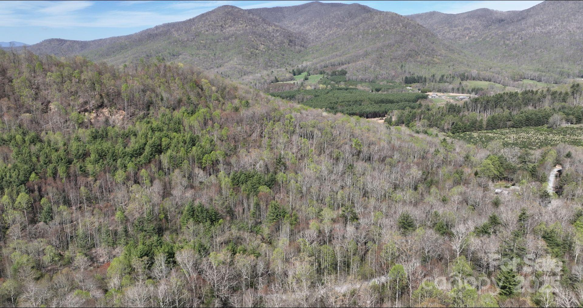 0 Gusher Knob Road Newland, NC 28657 - Photo 9 of 10 Gallery Image 9